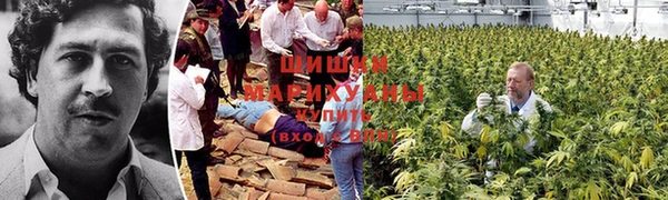 MDMA Армянск